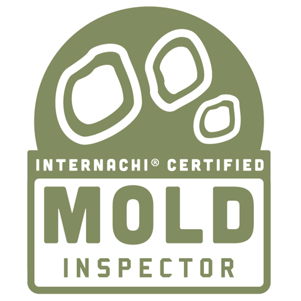 mold inspector
